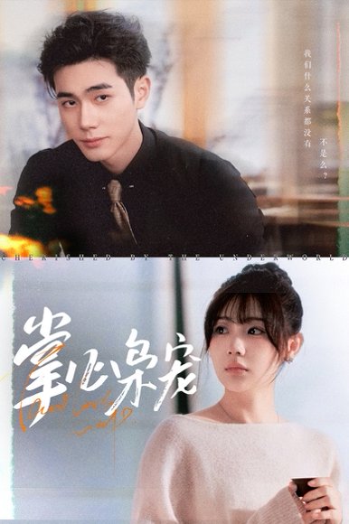 掌心枭宠（100集）李铂一&田园 高清完整版