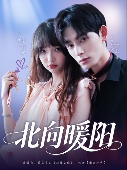 北向暖阳（80集）赵文轩＆杨琳 高清完整版