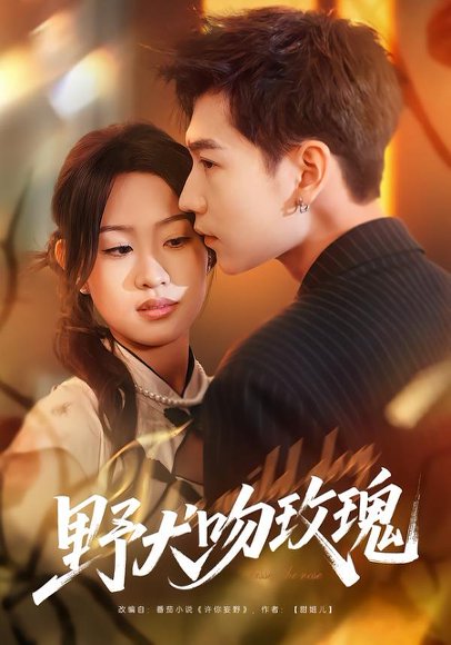 野犬吻玫瑰（70集）王继冉＆孙园静 高清完整版