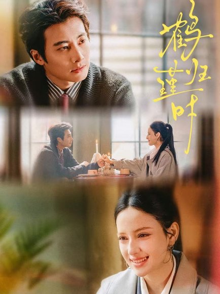 鹤归瑾时（81集）淮文＆阿依夏 高清完整版