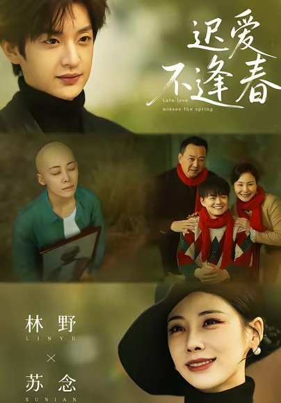 迟爱不逢春（62集）魏澊＆钟小淇 高清完整版