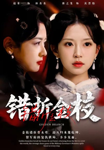 错折金枝（46集）金泽元＆唐之斐 高清完整版